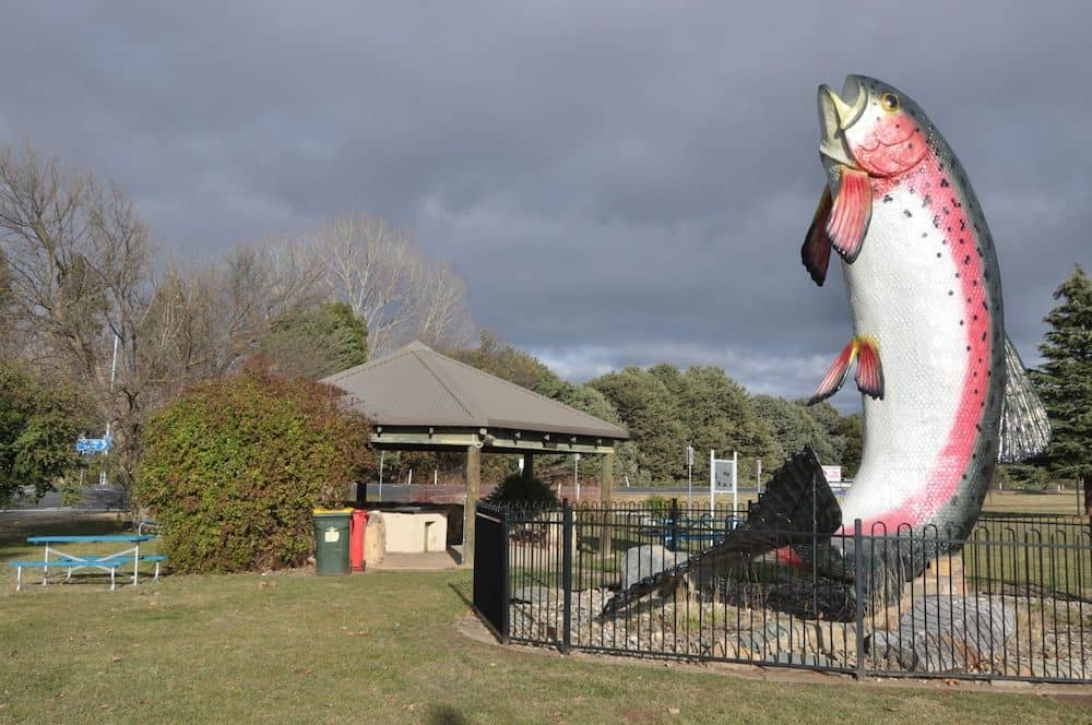 Selwyn Star Lodge Selwyn Star Lodge