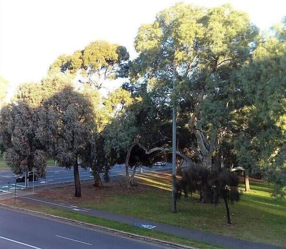 Adelaide Pulteney Motel