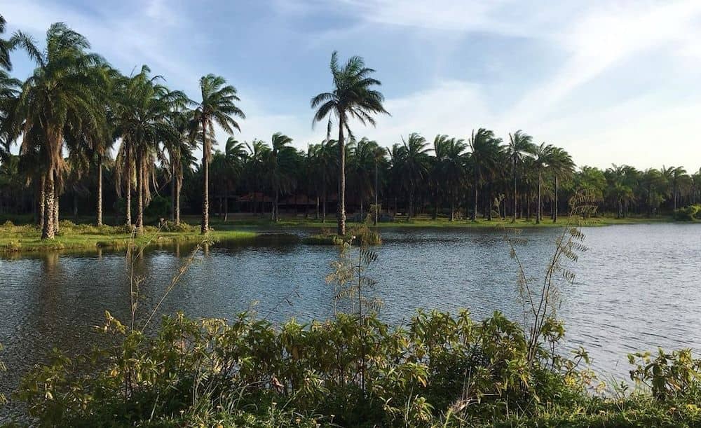 PALM GARDEN HOUSE