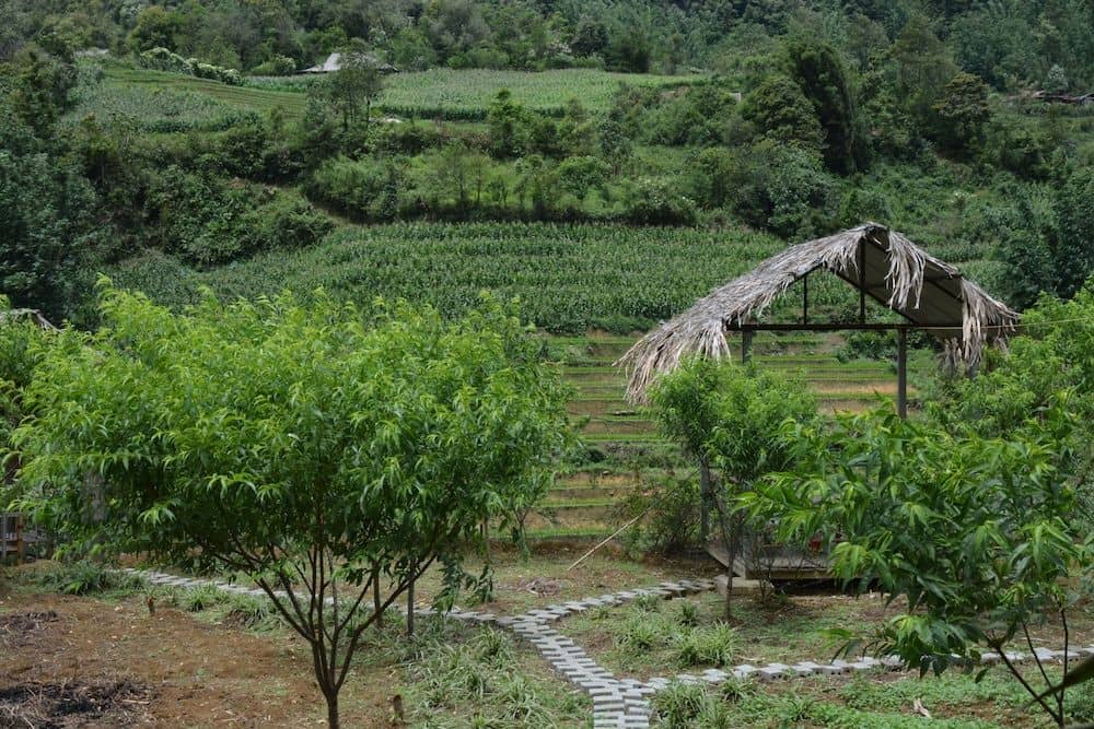 Sapa Homestay Trekking Tour For Backpackers