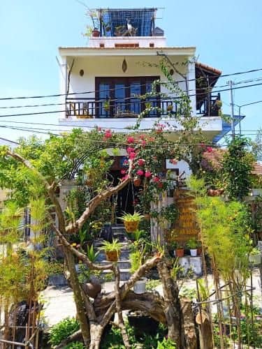 AnBang Morning Glory Beach Homestay 호이안 안방비치 숙소호텔
