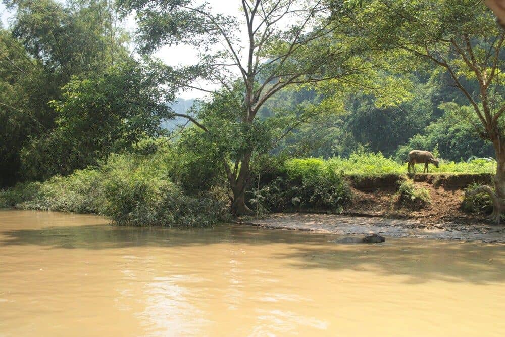 Tran Xuan Homestay Tran Xuan Homestay