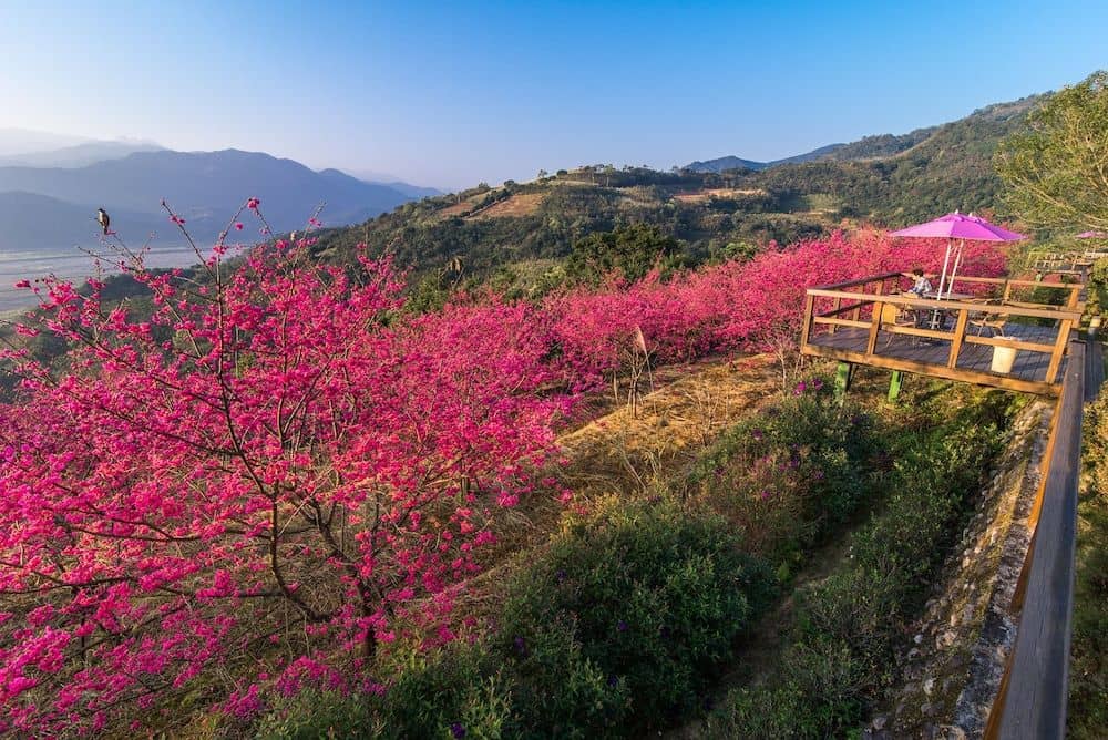 Yilan Ya Lu Homestay