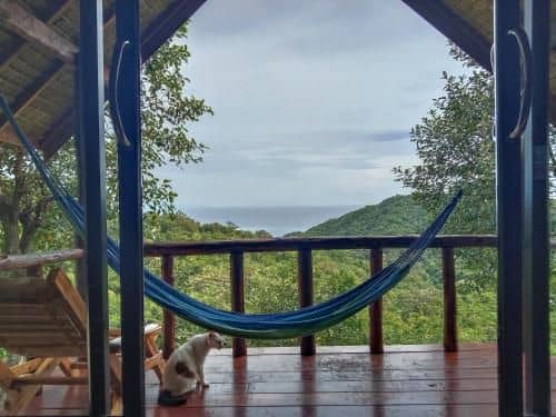 Tree House Bungalows