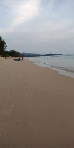 เฮลโล มี มี เฮาส์