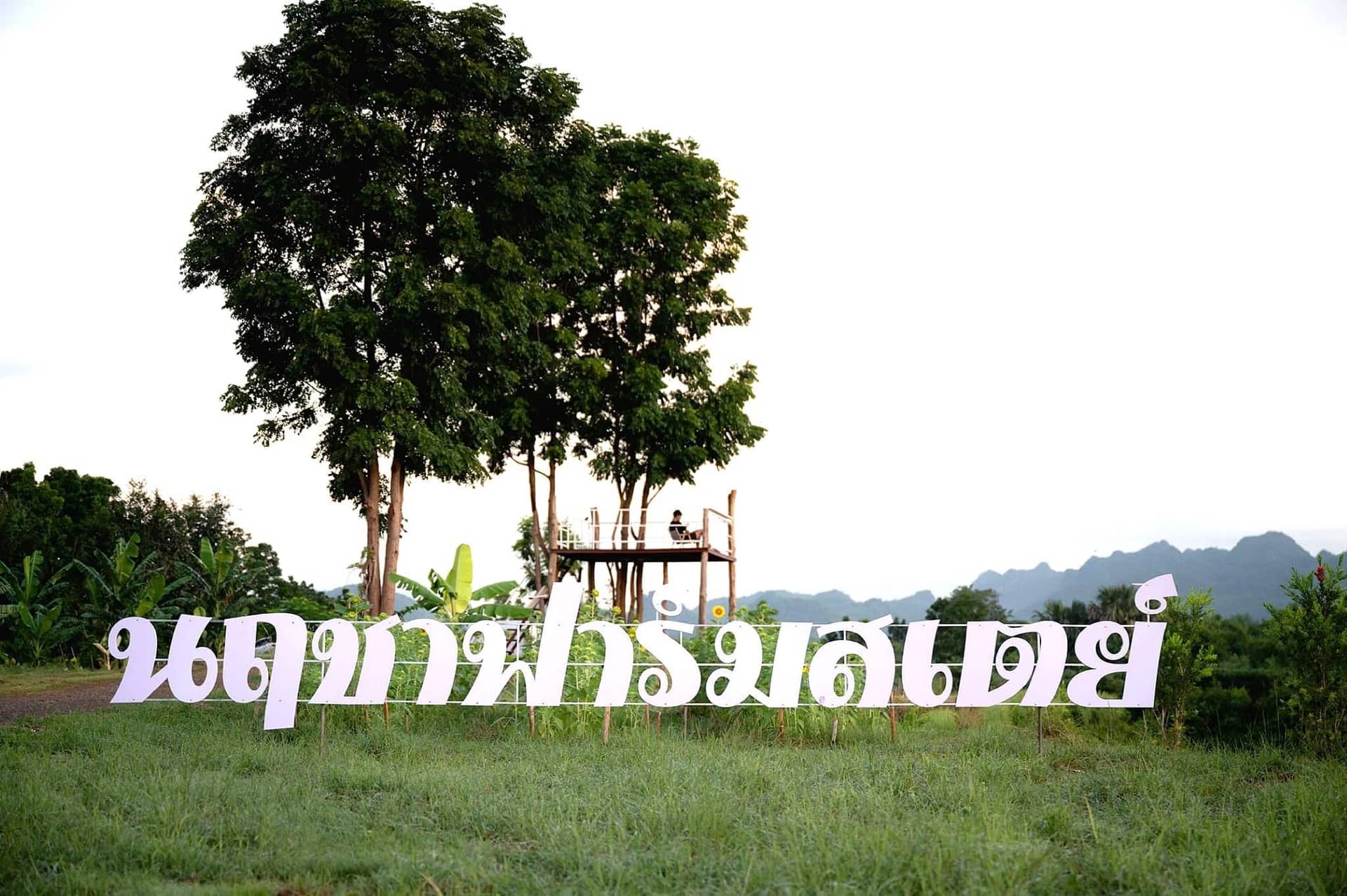 นฤชาฟาร์มสเตย์ ลานกางเต็นท์