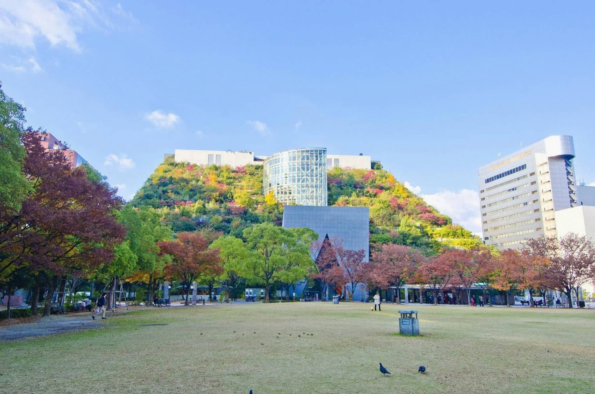 DD HOTEL NAKASU