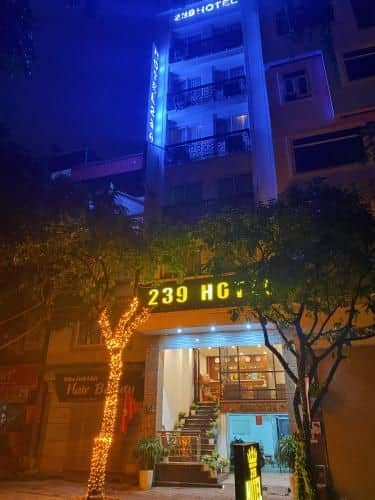 โรงแรม 239