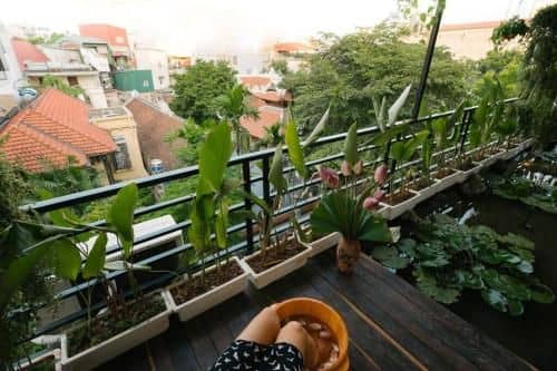 HomestayCHAT*HT1*PagodaView1 HomestayCHAT*HT1*PagodaView1