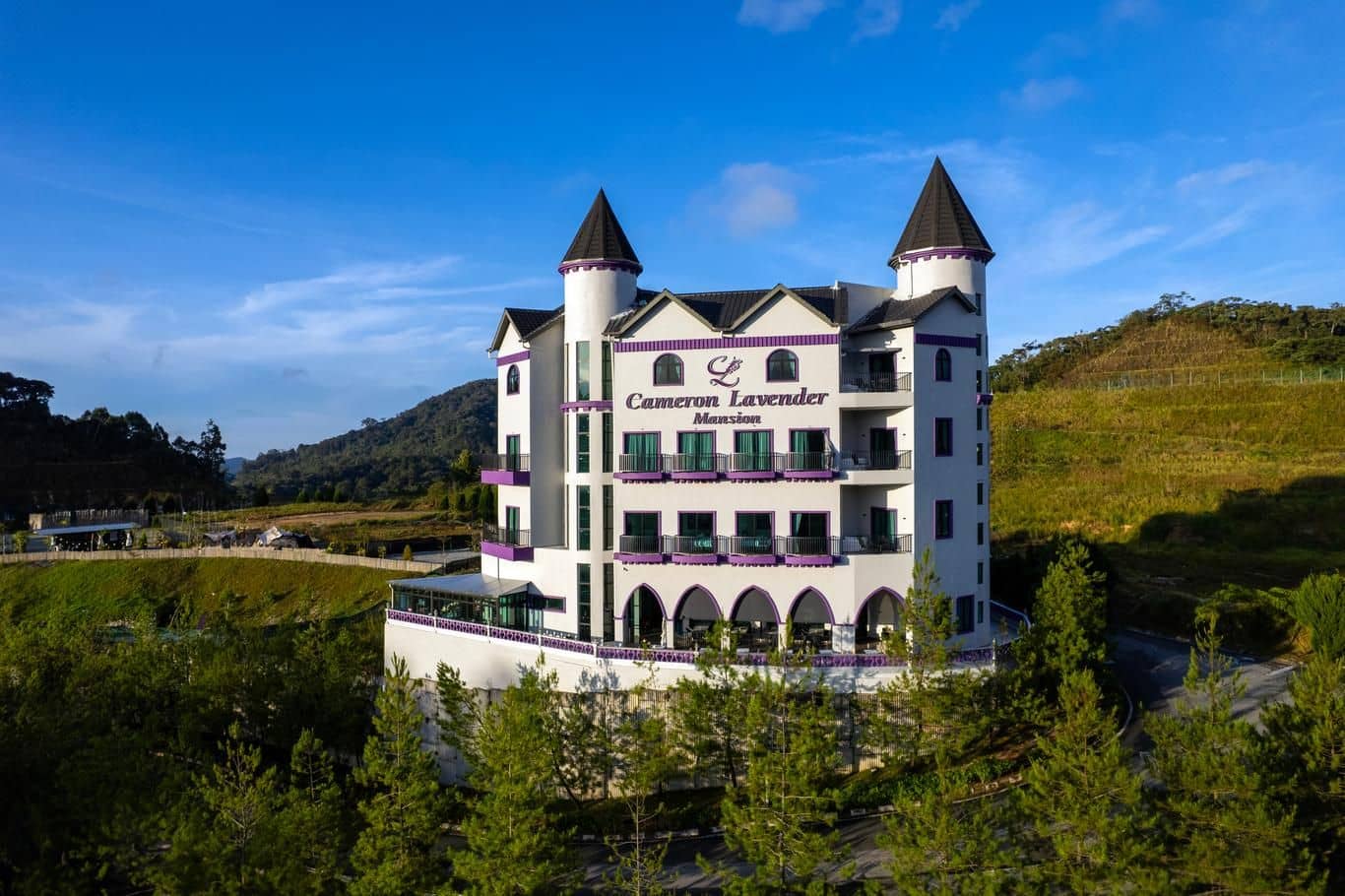 Cameron Lavender Mansion by PLAY