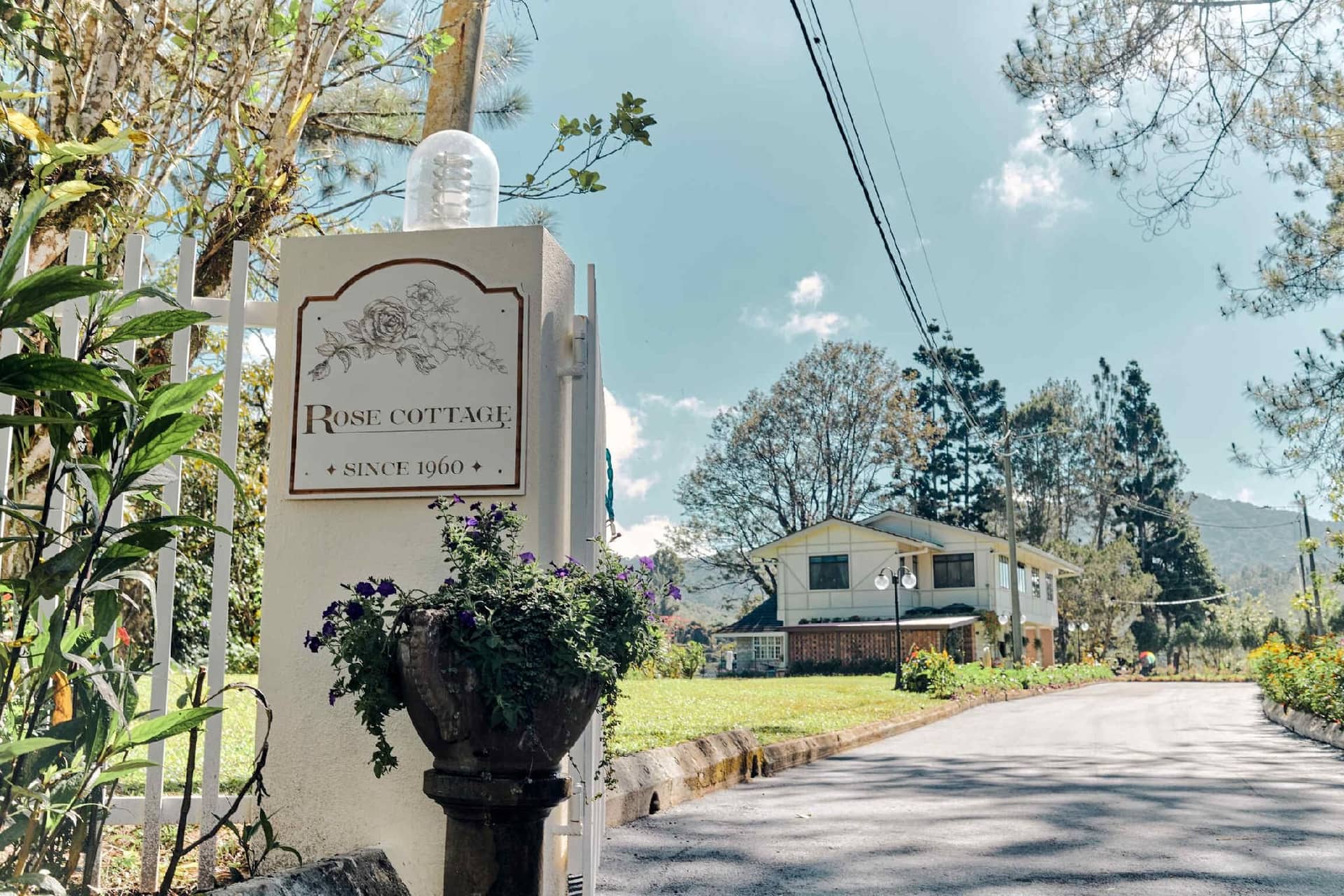 Rose Cottage by De'La Ferns
