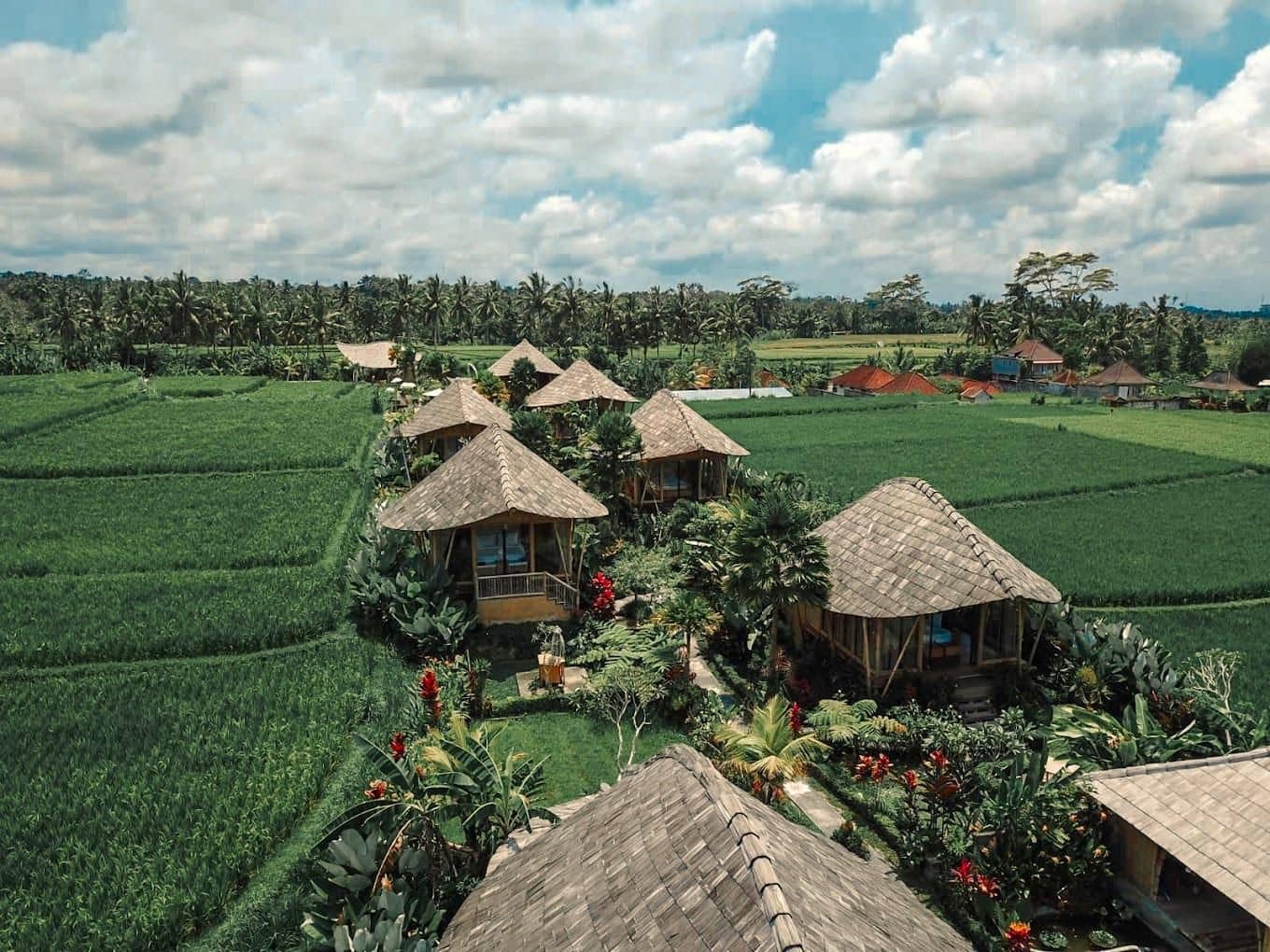 ปาดี บาหลี รีทรีต