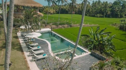 Coco verde bali Coco verde bali