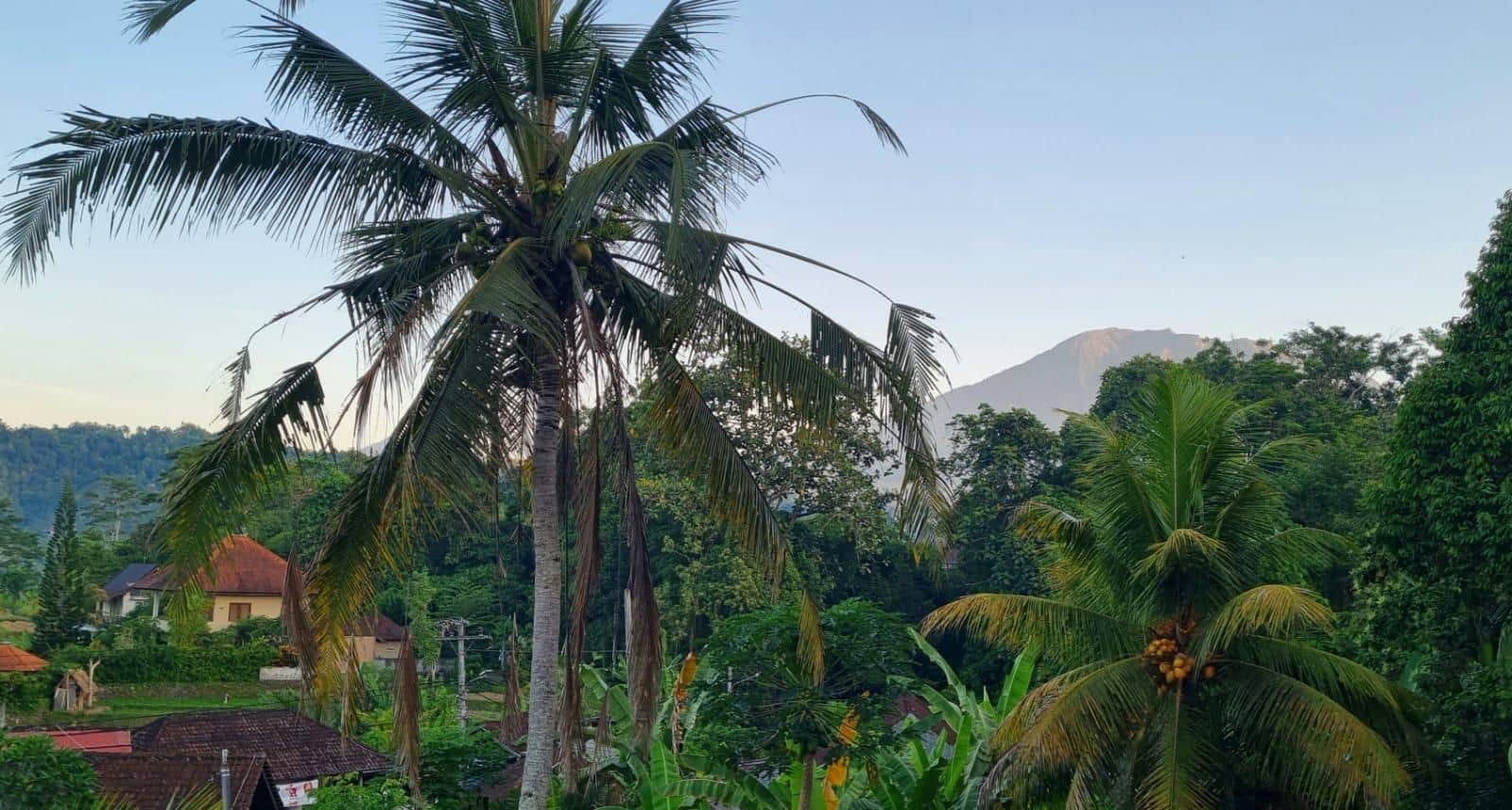 Sri Sedana Guest House 