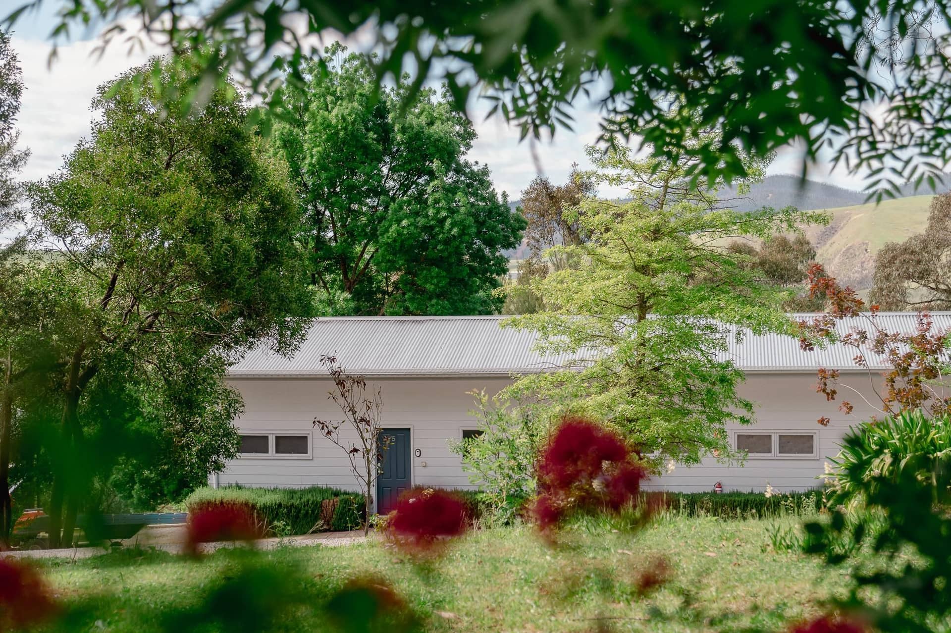 Buchan Motel Buchan Motel