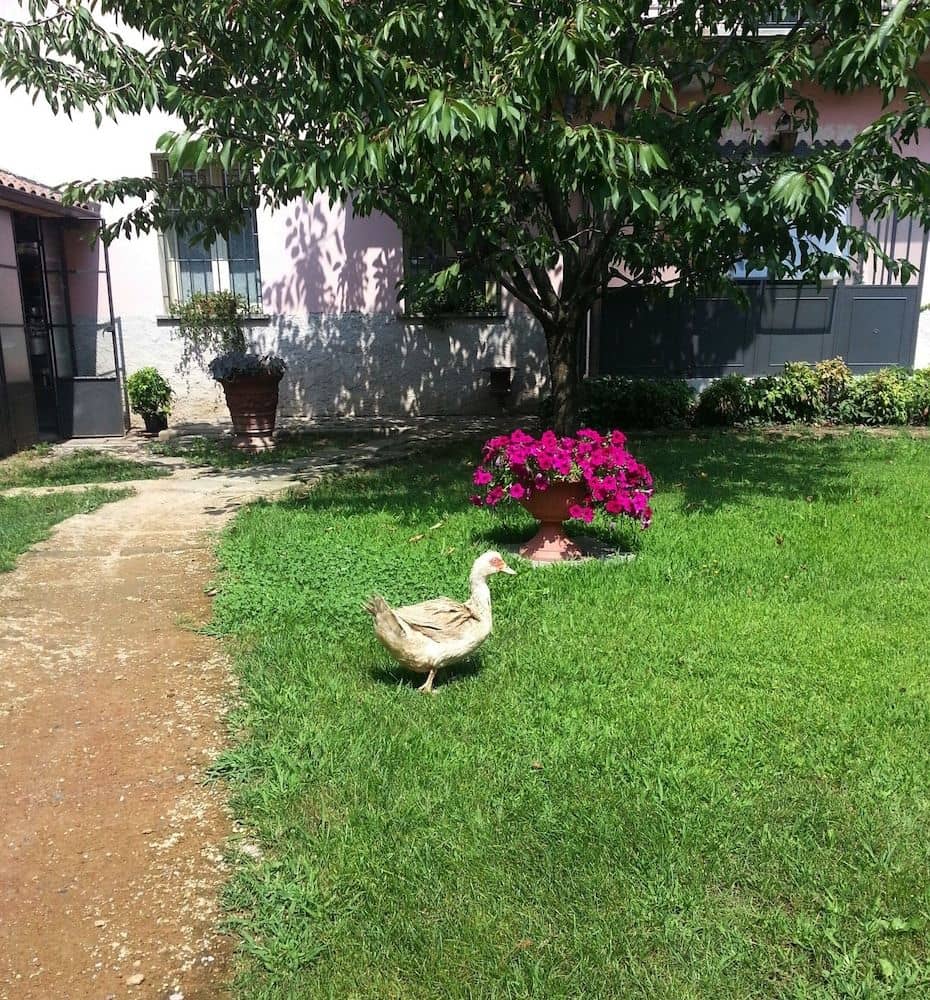 Agriturismo Cascina Madonnina Agriturismo Cascina Madonnina
