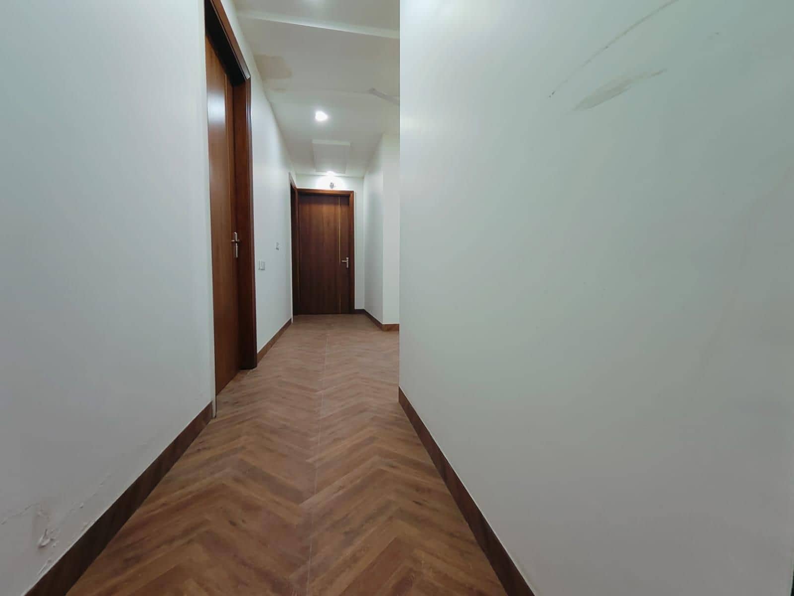 Hotel Starline Regidancy
