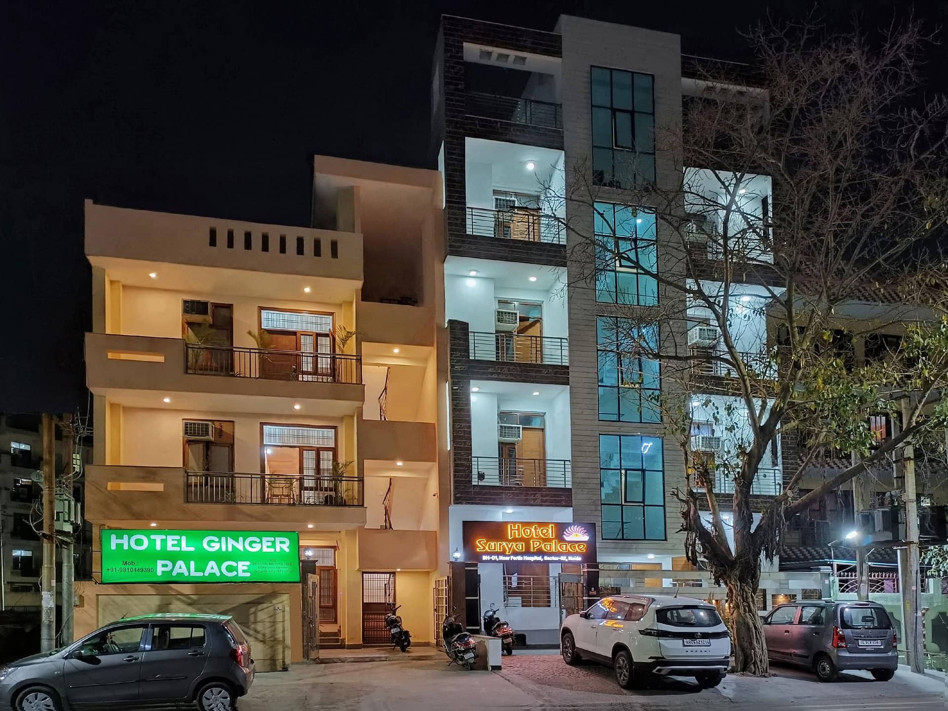 Hotel Ginger Palace