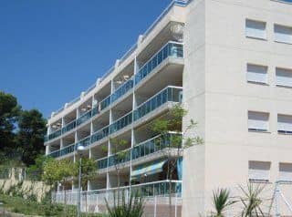 Siesta Dorada