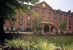 Comfort Inn East