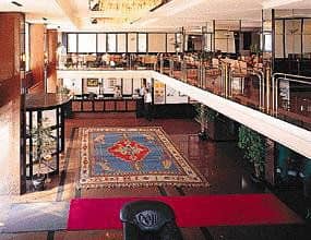Grand Halic