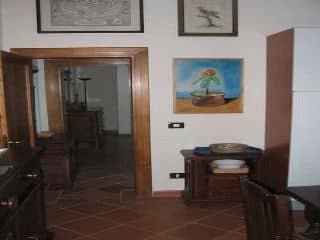 MSNRELAIS Carresi