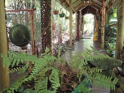 Daintree Rainforest Retreat Daintree Rainforest Retreat