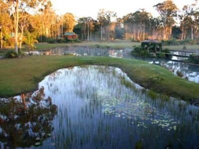 Lake Weyba Cottages