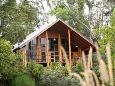 Canopy Rainforest Treehouses Canopy Rainforest Treehouses