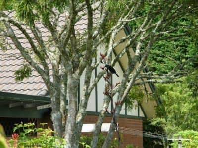 Clover Downs Estate