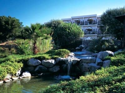 Palm Tree Court And Spa