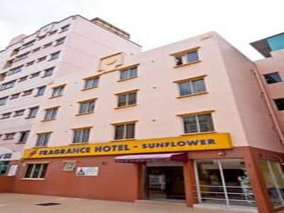 Fragrance Hotel Sun Flower