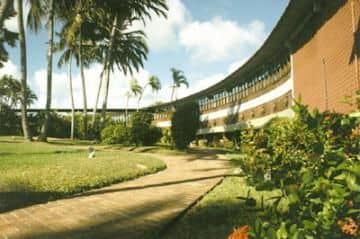 TROPICAL TAMBAU TROPICAL TAMBAU