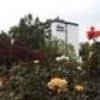 Best Western Plus Hotel Steinsgarten
