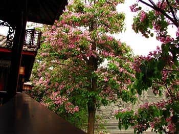 Pariday Sun Holiday Hotel Lijiang