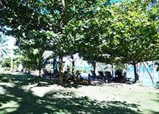 Anda White Beach Resort