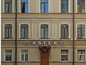 Nevsky Aster Nevsky Aster