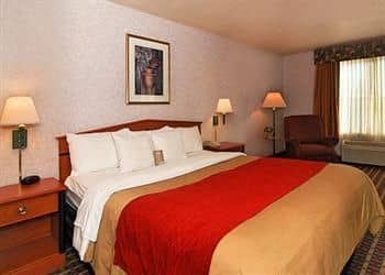 COMFORT INN LATHROP COMFORT INN LATHROP