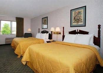 COMFORT INN SHELBYVILLE