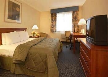 COMFORT INN HADLEY COMFORT INN HADLEY