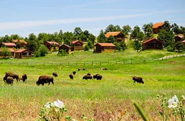 Zion Mountain Ranch Zion Mountain Ranch