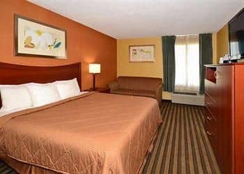 COMFORT INN PETERSBURG