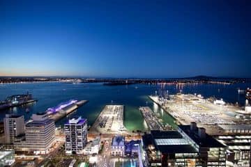 Auckland Harbour Oaks