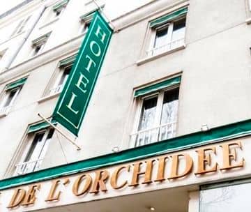 L'Orchidee