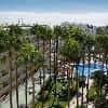 Playa Del Sol