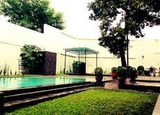 The Purple Tree Bed & Breakfast