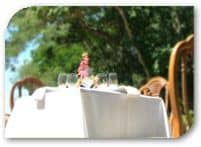 Mountain Woods Resort Hotel