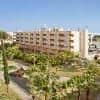 Trh La Motilla