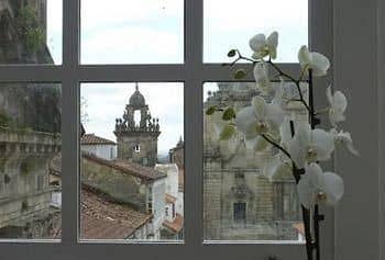 San Miguel San Miguel