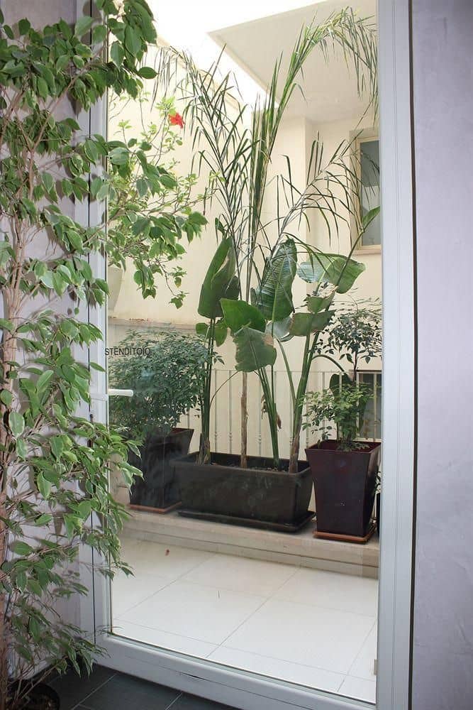 โรงแรม 33 บาโรนี - ปาลาซโซ ปิโร โรงแรม 33 บาโรนี - ปาลาซโซ ปิโร